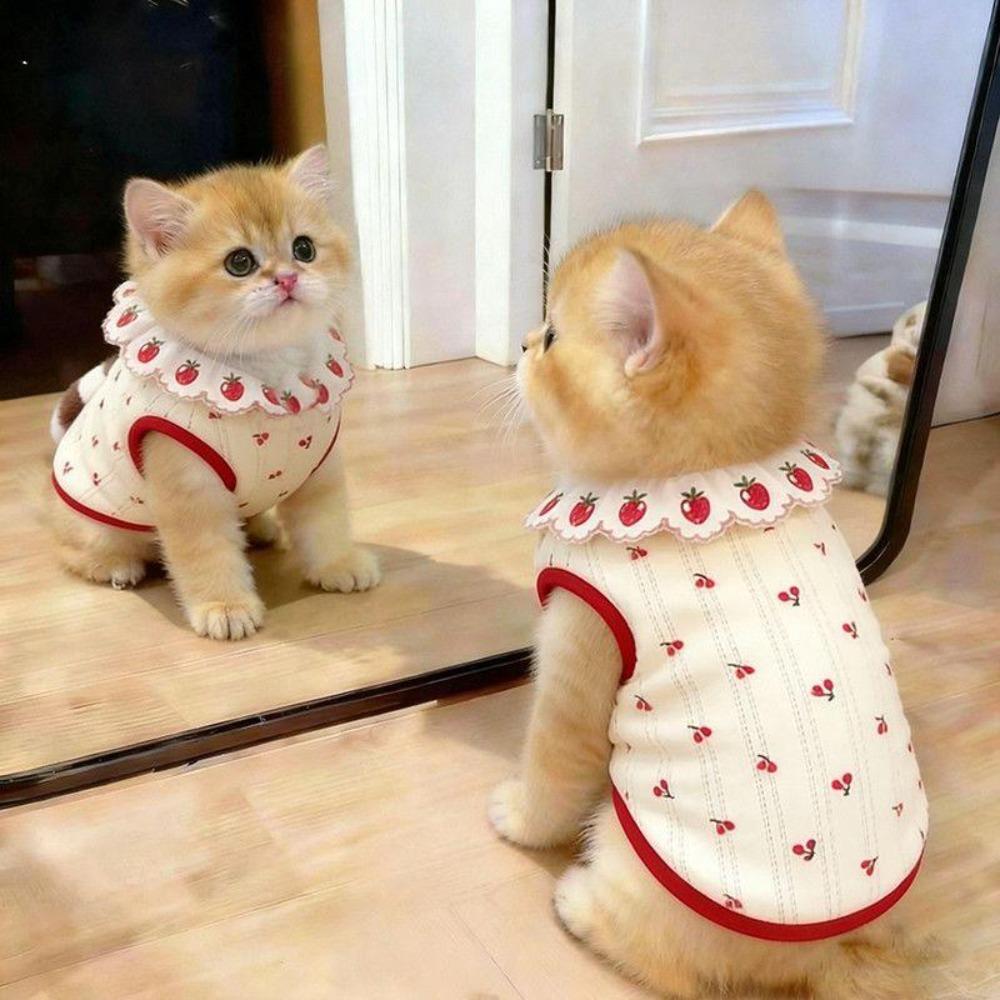 Thin Cat Flower Edge Vest Cherry Pattern Pet Shirt Cute Cat Pullover  Pet Clothing