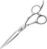 DEEDS GTZ Sword Scissors by Japanese Scissors Professional Hairdresser and Haircutter with Case [PF] (6.0 Inch) Manufacturer,