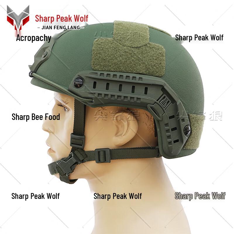 Sharp Wolf FAST Ballistic Helmet