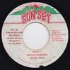 7inch Record HALF PINT  Sally  NONE Sun Set 1984 Japan Reggae Ska  Dub Used