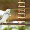 Bird Ladder Colorful Beads Swing Combination Bird Toy Parrots Chewing Training Toy Pet Bird Hanging Hammock Bird Climbing Ladder
