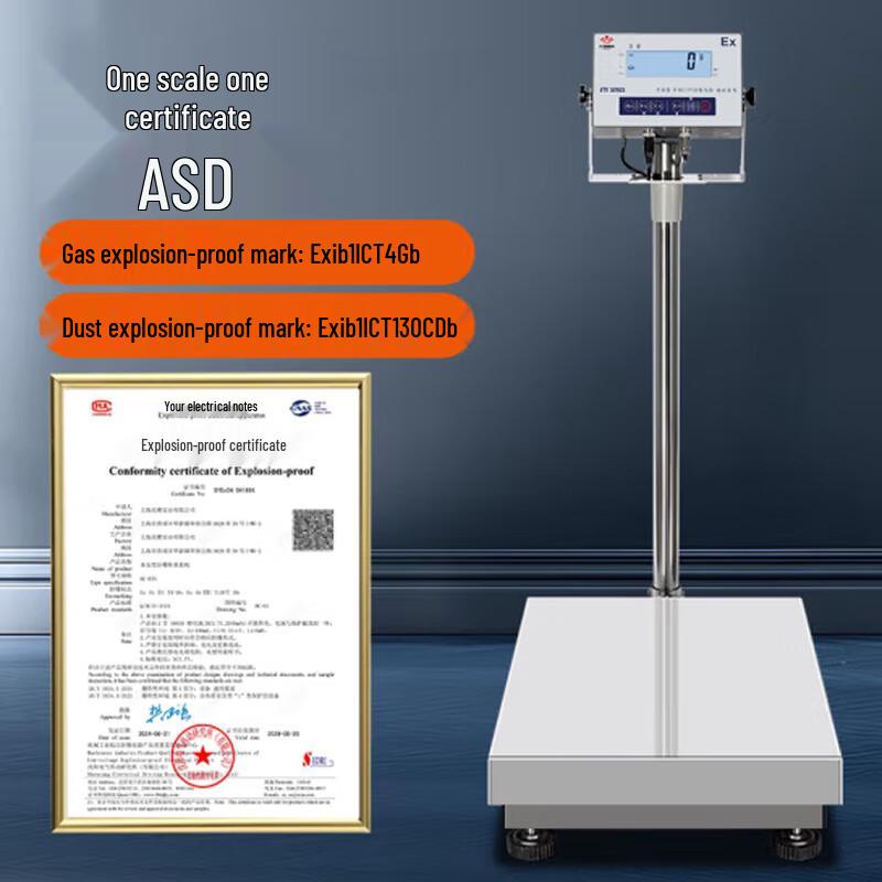 HC High-Precision 304 Stainless Steel Industrial Platform Scale