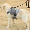 Big Dog Harness Leash Tactical Dog Clothing Waterproof Explosion Proof Tactical Chest Strap Medium and Large Dog Pet Chest Vest
