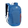 Taurus 20L Backpack