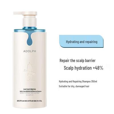 Shampoos & Haarspülung – Shampoos