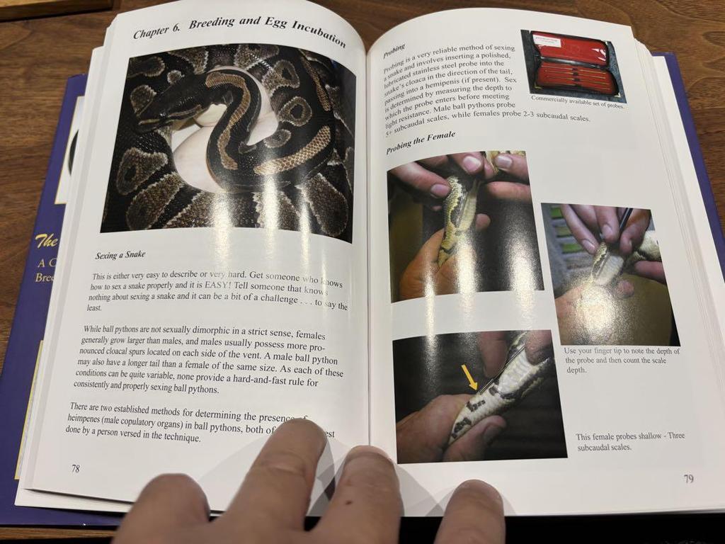 [USED] Ball Python The Complete Ball Python Reptiles Books