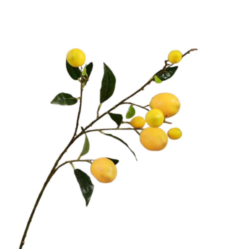 

Elegant Artificial Lemon Branch Luxury Fake Plants Simulation Fruit Tree Indoor Outdoor Style 1