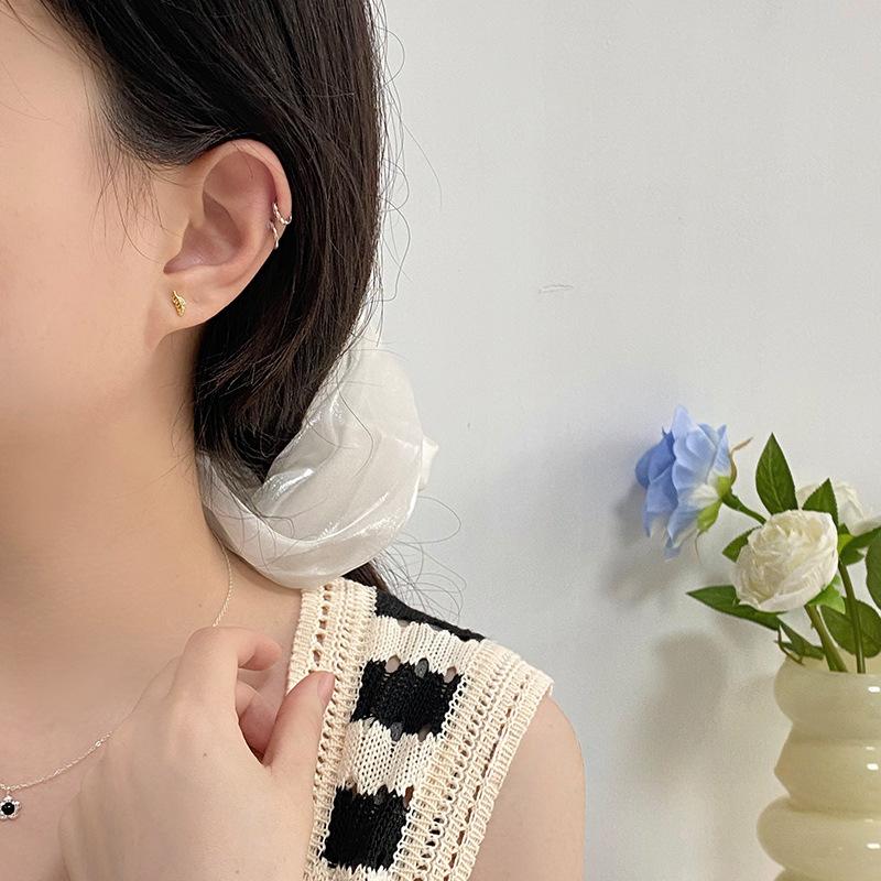 Exquisite Leaf Earrings for Women with Small Ins Design Feather Earrings