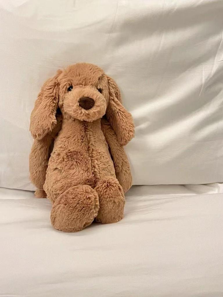 UK Shy Toffee Puppy Plush Toy - Cute Dog Figure Birthday Gift