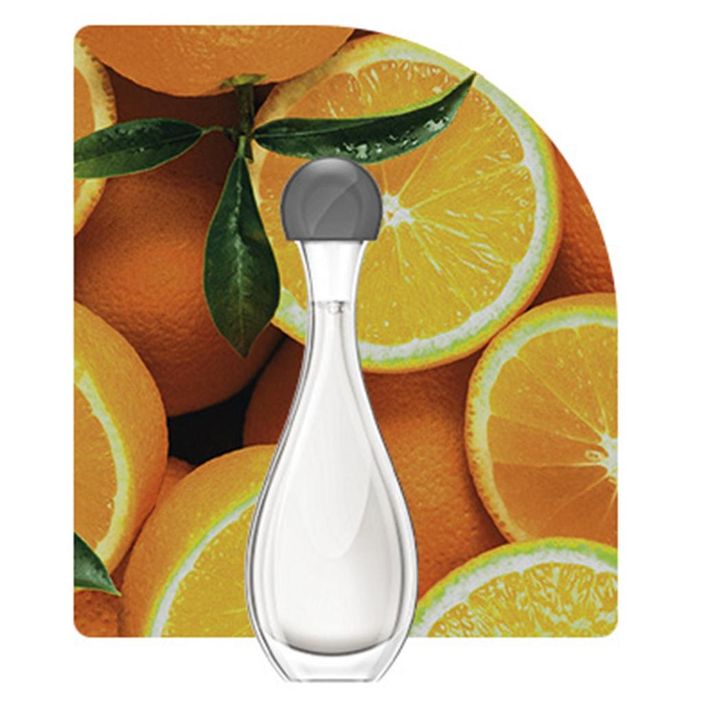 Essential Oil for Diffuser, Home Fragrance, Soothing Perfume, Fragrance Oil,