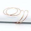 Purple Gold-Plated Rose Gold Earrings Fashion Personality Luxury Exaggerated Gold Circle Earrings Earrings