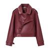 Winter new European and American style fashion simple versatile locomotive leather jacket short jacket