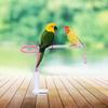 Stable Bird Training Perch Non-Slip Parrot Standing Pole Tabletop Parrot Biting Rod  Small Birds