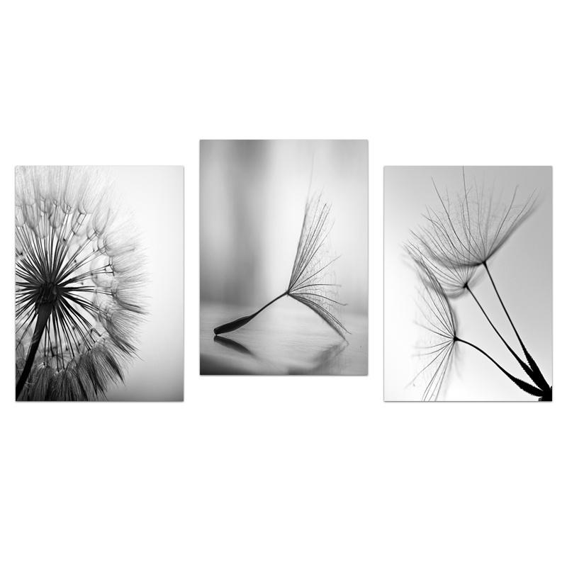 Black White Dandelion Flower Wall Art Prints And Poster Nordic Living Room Wall Art Decorative Canvas Paintings For Home Decor