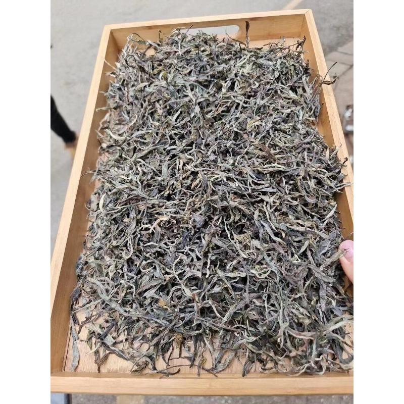 Yunnan Tee Nannuo Berg Pema Alter Baum Erster Frühling Pu'er Rohtee 100g