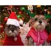 Christmas Pet Hat Santa Claus Hat For Cats Dogs Puppy Xmas Decoration New Year Pet Costume Home Festival Party Pet Supplies
