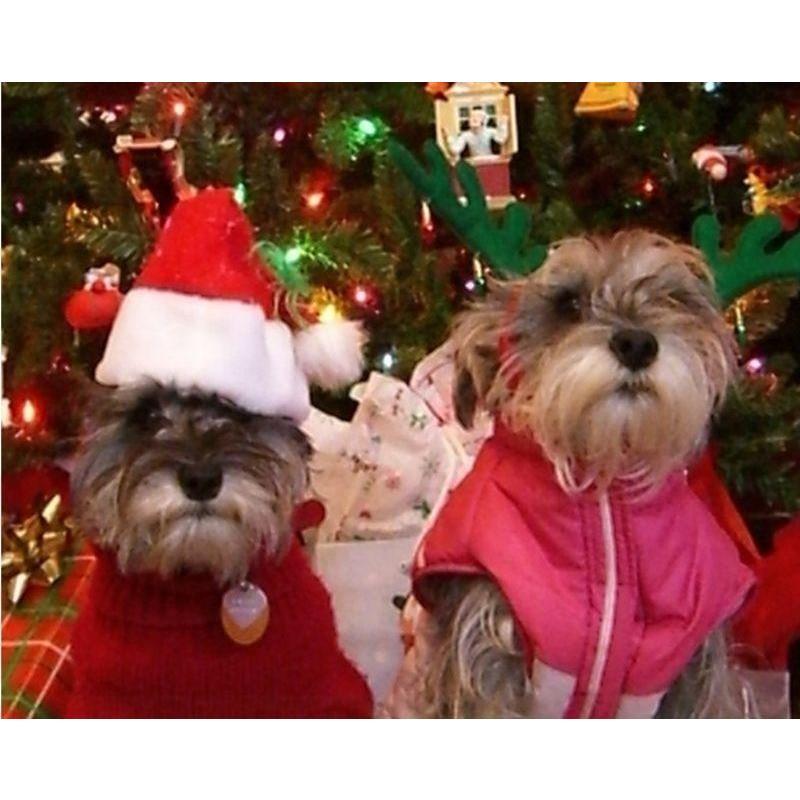 Christmas Pet Hat Santa Claus Hat For Cats Dogs Puppy Xmas Decoration New Year Pet Costume Home Festival Party Pet Supplies