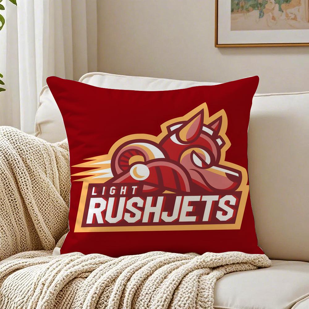 

Classic Retro Japanese Game RRockman Mega Man Cushion Cover Pillowcase Antidustmite living Room Sofa Decor Cushion Room 30X30cm