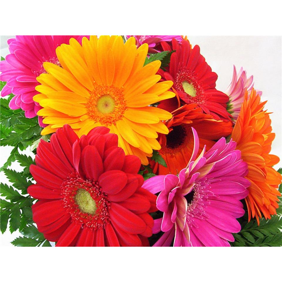 5D DIY Diamond Painting Flower Cross Stitch Kit Diamond Embroidery Rhinestone Picture Mosaic Home Decoration Hand-Mosaic Gift