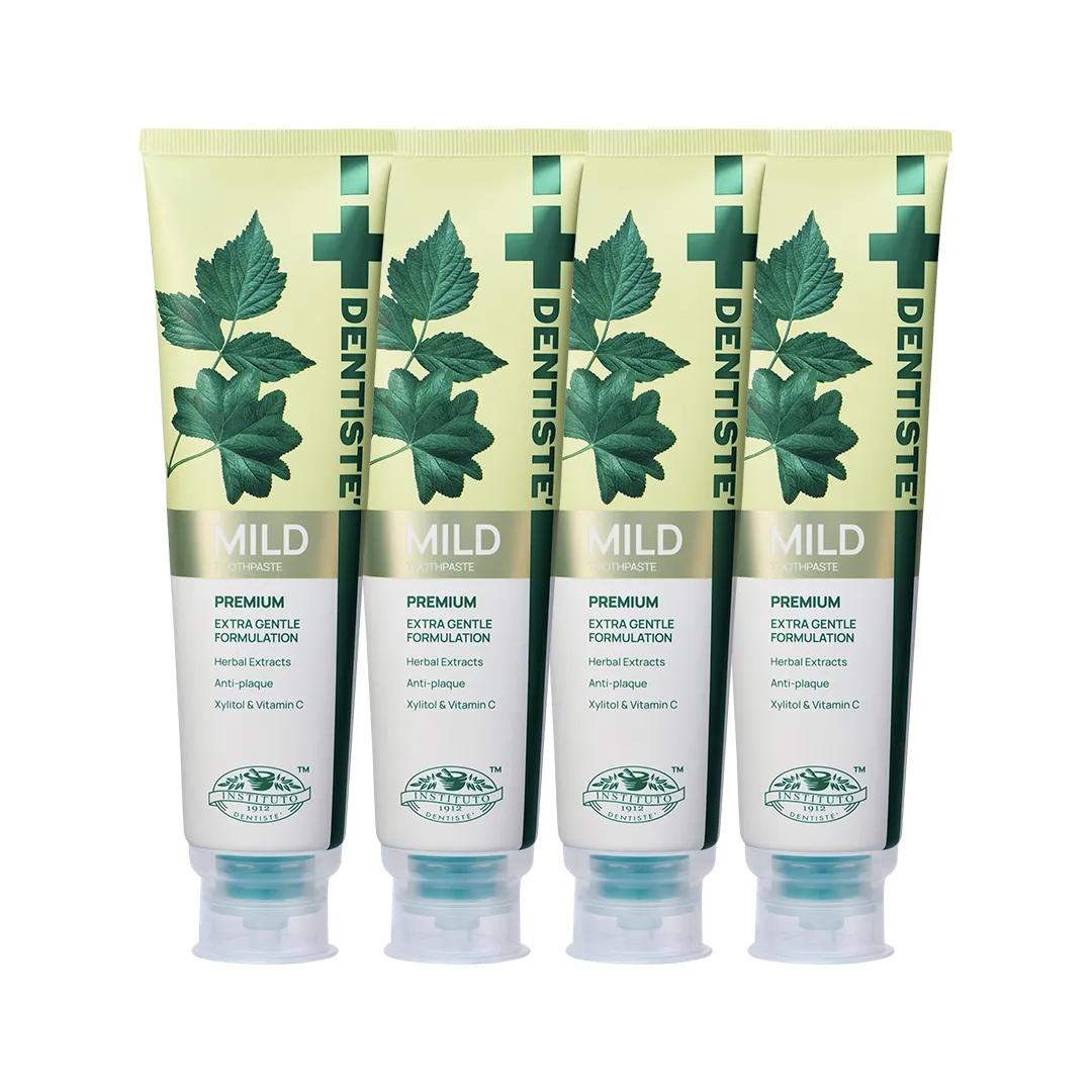 DENTISTE Mild Night-time Toothpaste 160g*4ea