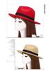 Zhen Yueqi Unisex Korean Style Jazz Fedora Hat, Wool-Blend, Wide Brim, Autumn/Winter.