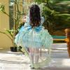 Little Girl Flower Fairy Princess Dress - Summer Birthday Party Outfit