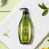 seeyoung Sapindus Oil Control Shampoo