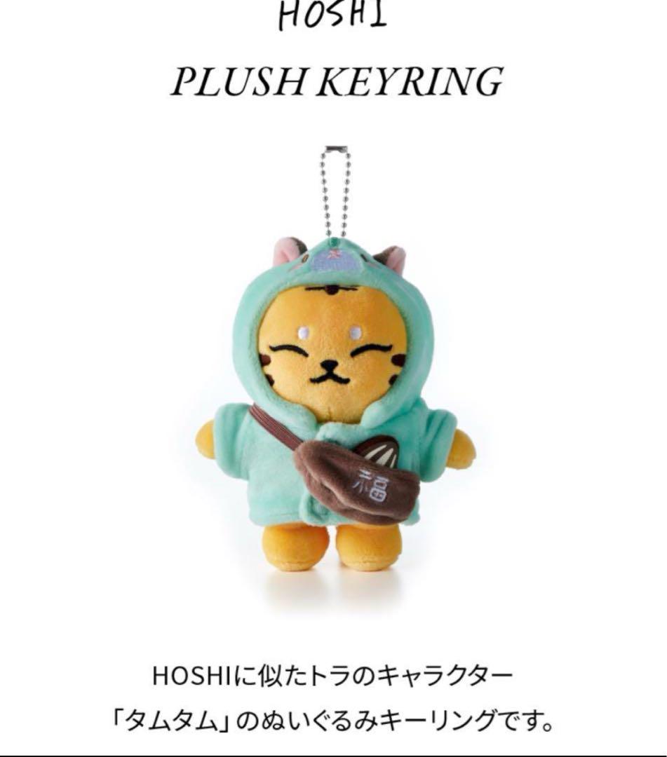 

[USED] Tamtam stuffed animal key ring Hoshi artist made Seventeen