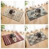 Pet Minimalist Style Small Fresh Entrance Entrance Bathroom Kitchen Floor Mat Floor Mat Non-slip Machine Washable Carpet 2026