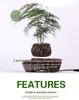 Magnetic Levitation Potted Plant Ornament - Creative Home Décor & Gift