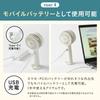 BRUNO Portable Fan, Handy Fan, Small Cooling Plate, 3 Airflow Settings, Type-C Charging, Self-Standing, Carabiner Included, White, BDE070-WH