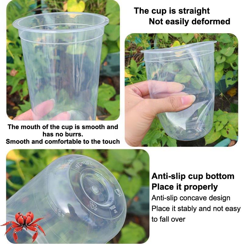 1/5Pcs Visible Clear Plants Germination Cup Transparent Plastic Nursery Growing Box Indoor Garden Greenhouse Seed Starter Tray