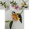 Realistic 3d Cloth Artificial Lilies Fake Flowers For Wedding Decor Home Staging Photography Props