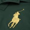 Polo Ralph Lauren Solid Color Embroidered Logo Long Sleeve Polo Shirt Men Tops Green MNPOKNI16810751-D08