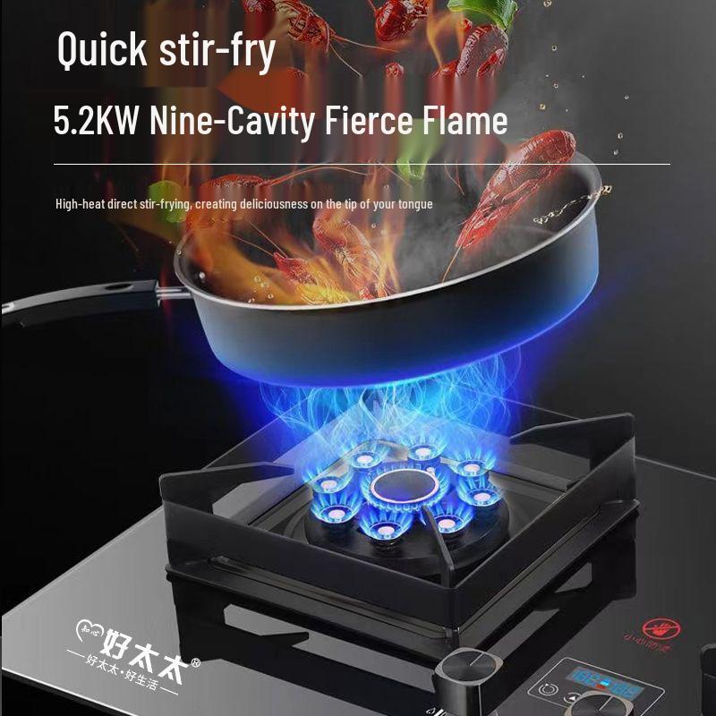 Good Wife Double Burner Gas Stove: Tabletop & Embedded, for Natural or Liquefied Petroleum Gas