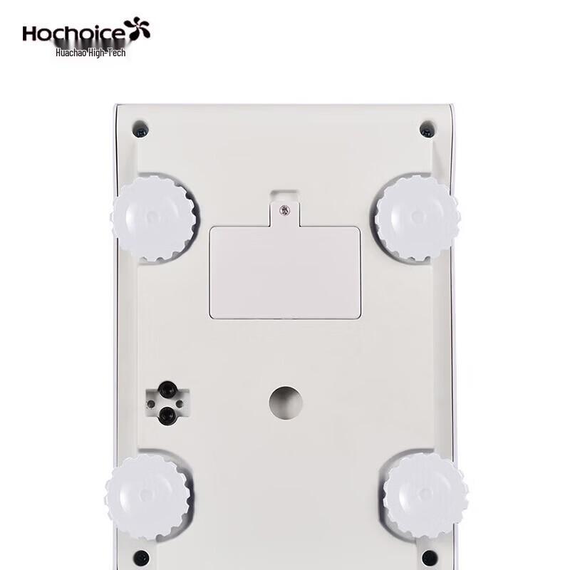 Huachao Gaoke 3000g/0.1g Precision Electronic Platform Scale (CN version)