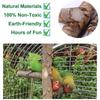 Finches Wooden Natural Conure Bird Perch Parrot Toy Chewing Stick Wood Stand
