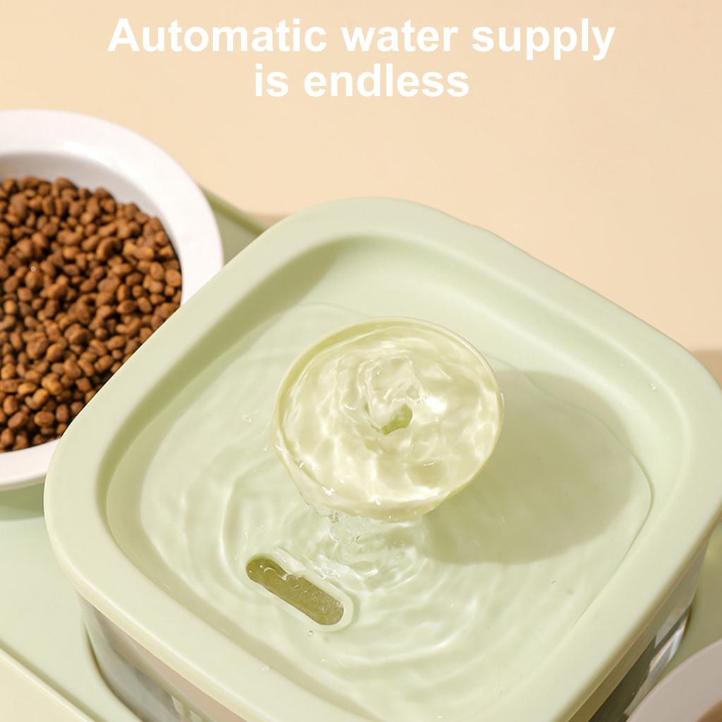 Dog Feeding Double Bowl Elevating Cats Bowl Food Container for Dog with Automatic Water Fountain Pet Watering Supply