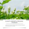 MoonSpry 100g Polvere Nutriente Organica per Piante - Migliora la Compattazione del Terreno, Potenzia i Fiori in Vaso per una Fioritura Rigogliosa