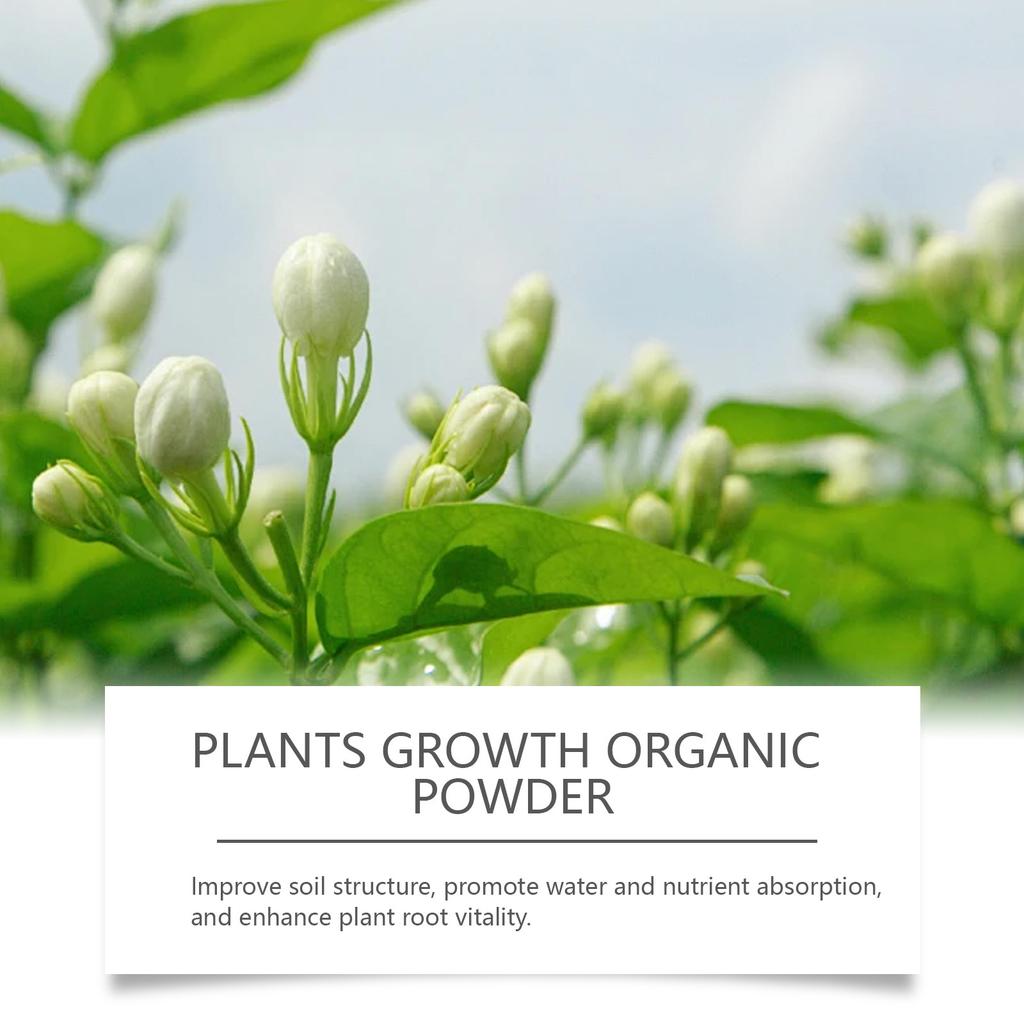 MoonSpry 100g Polvere Nutriente Organica per Piante - Migliora la Compattazione del Terreno, Potenzia i Fiori in Vaso per una Fioritura Rigogliosa