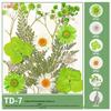 Handmade Pressed Flower Bookmark and Epoxy Sticker Pack with Real Leaf and Plant Specimens for DIY Face Makeup.