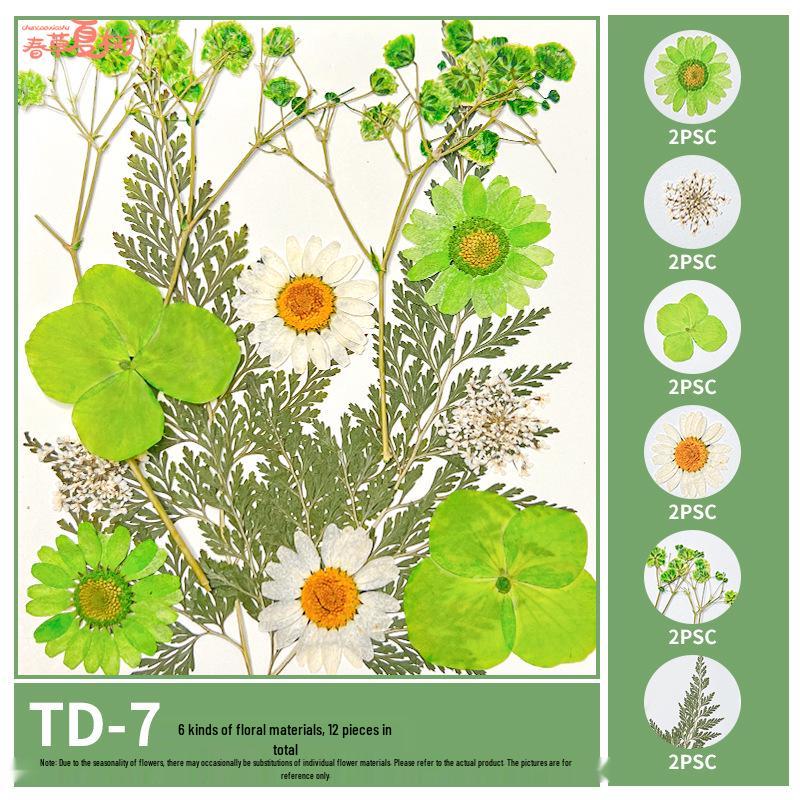 Handmade Pressed Flower Bookmark and Epoxy Sticker Pack with Real Leaf and Plant Specimens for DIY Face Makeup.