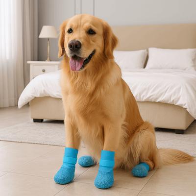 Giyim ve ayakkabı – Köpek ayakkabıları