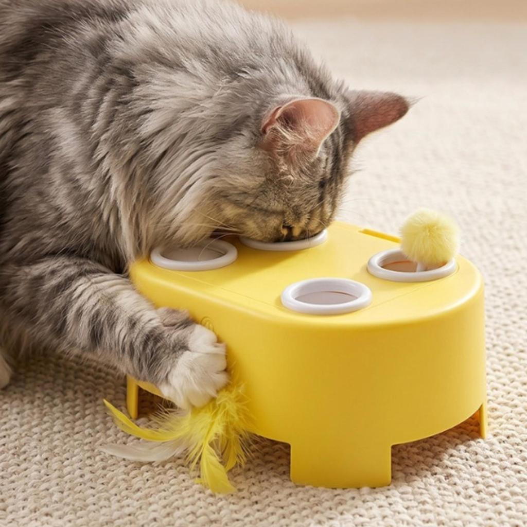 Interactive Cat Toy Motorized Electric Indoor for Kittens