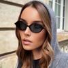 Sexy Small Oval Leopard Sunglasses Women Lovely Ins No Makeup Plain Glasses Frame Men Eyewear Cute Decorative Computer Glasses