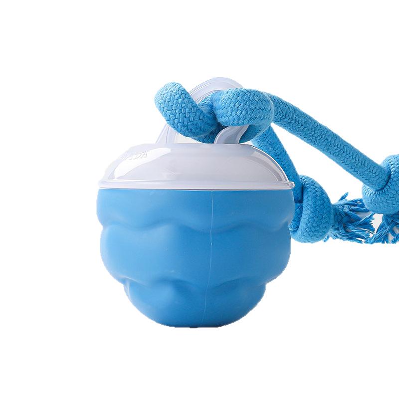 Interactive Dog Toy Ball with Barking Sound & Leash for Small To Medium Dogs