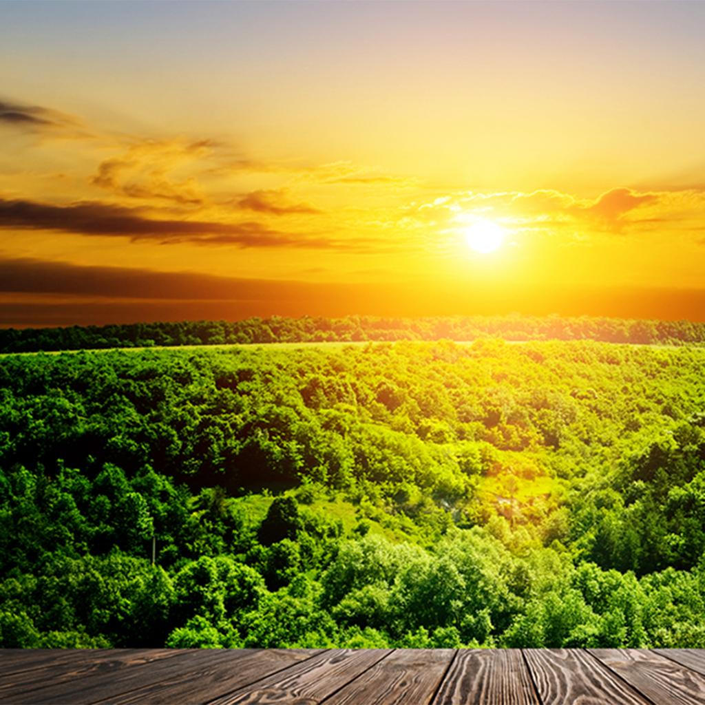 Dekor Koleksiyonu, Dağlarda Uzak Vahşi Yaşam Manzaralı Orman Yolu, Oturma Odası