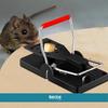 Set of 5 Mouse Traps for Rats, Rodents, Mouse Traps, Strong Spring