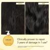 inde wild Champi Bond Repair Shampoo | Anti Hair Fall Shampoo for Hair Growth & Strengthening | Ayurvedic Scalp Cleansing Shampoo for Damaged