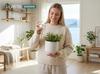 Watering Balls for Flowers and Plants, Flower Power Dispenser Set of 10 Pcs.